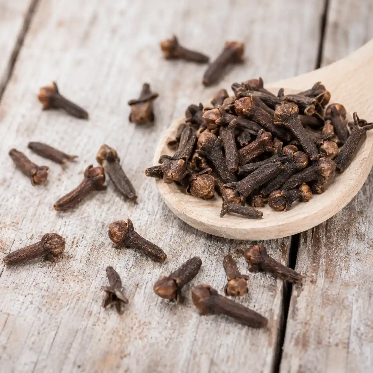 clove exporters