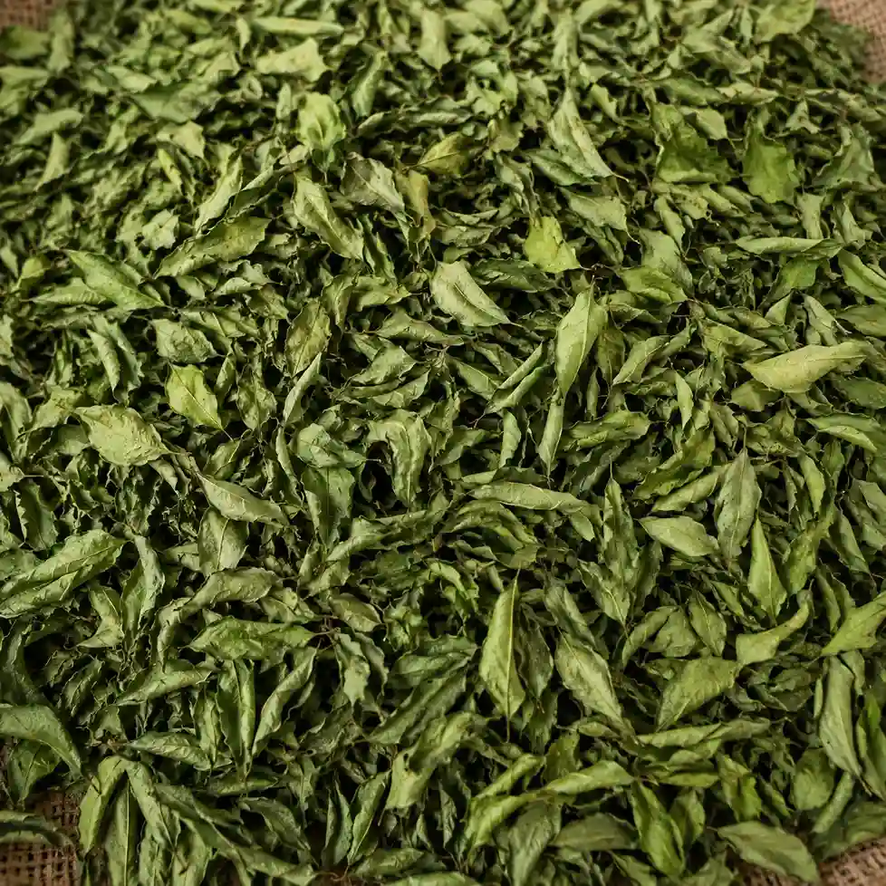curry leaves exporters